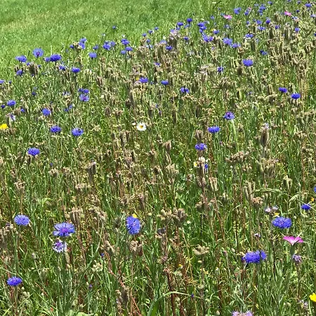 度假居 Vakantiehuisje Achterhoek