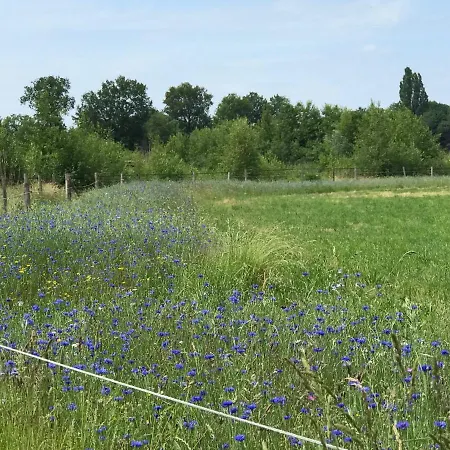 Vakantiehuisje Achterhoek 度假居 阿尔滕