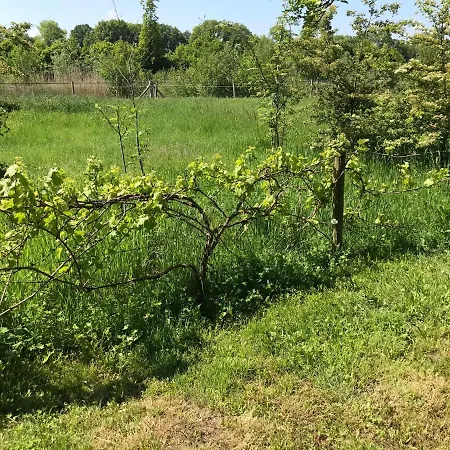 Vakantiehuisje Achterhoek 度假居