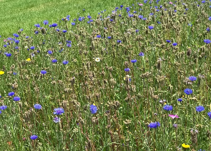 בית נופש Vakantiehuisje Achterhoek