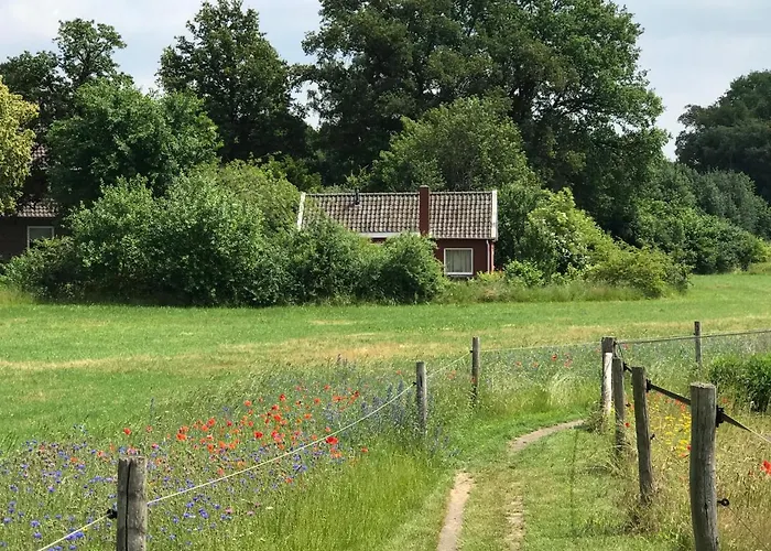 Ferienhaus Vakantiehuisje Achterhoek