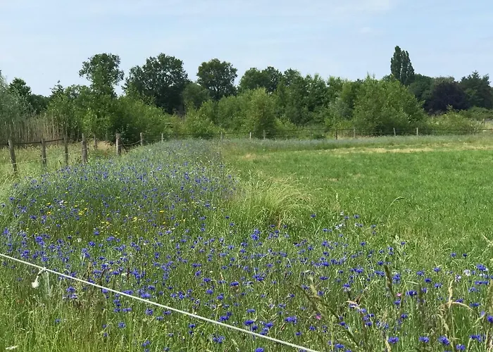 Vakantiehuisje Achterhoek Ferienhaus Aalten