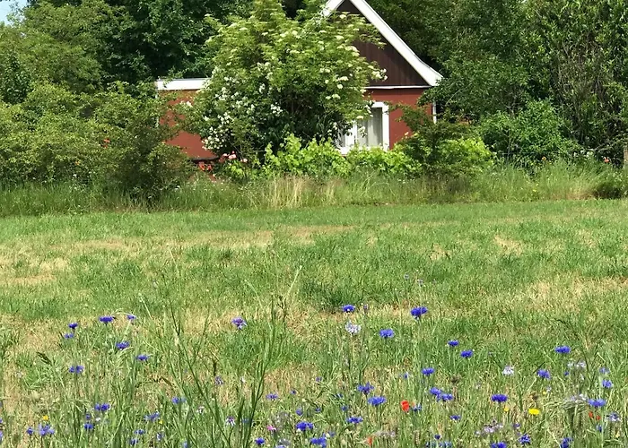 Vakantiehuisje Achterhoek