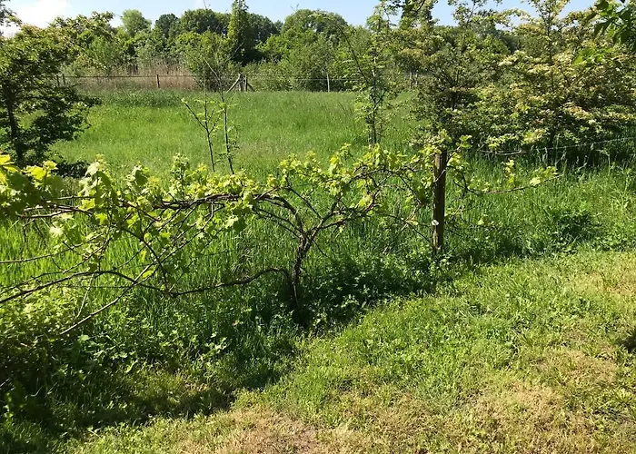 Vakantiehuisje Achterhoek בית נופש