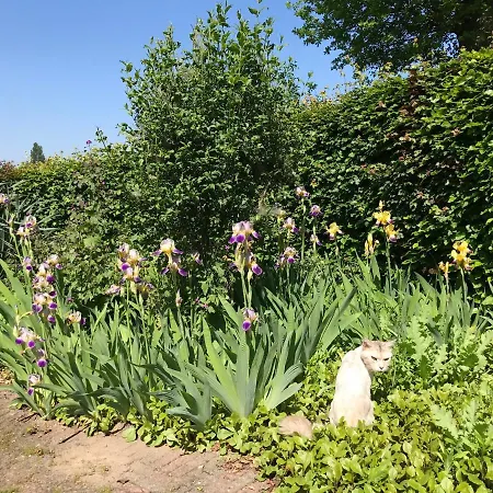 Vakantiehuisje Achterhoek Hébergement de vacances *