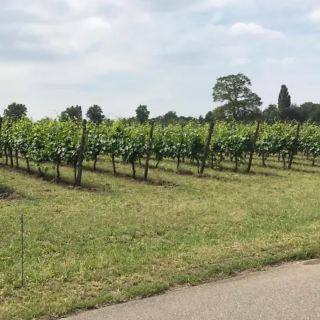 Vakantiehuisje Achterhoek Aalten