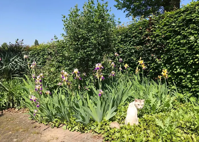 Vakantiehuisje Achterhoek Vakantiehuis *