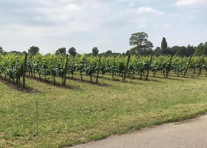 Vakantiehuisje Achterhoek Aalten